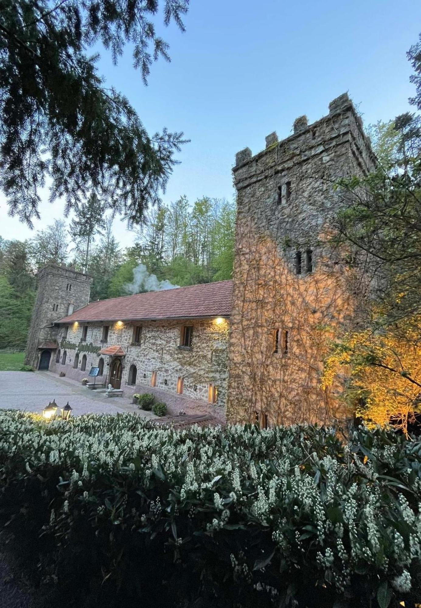 Le Chateau Du Landsberg Barr Kültér fotó