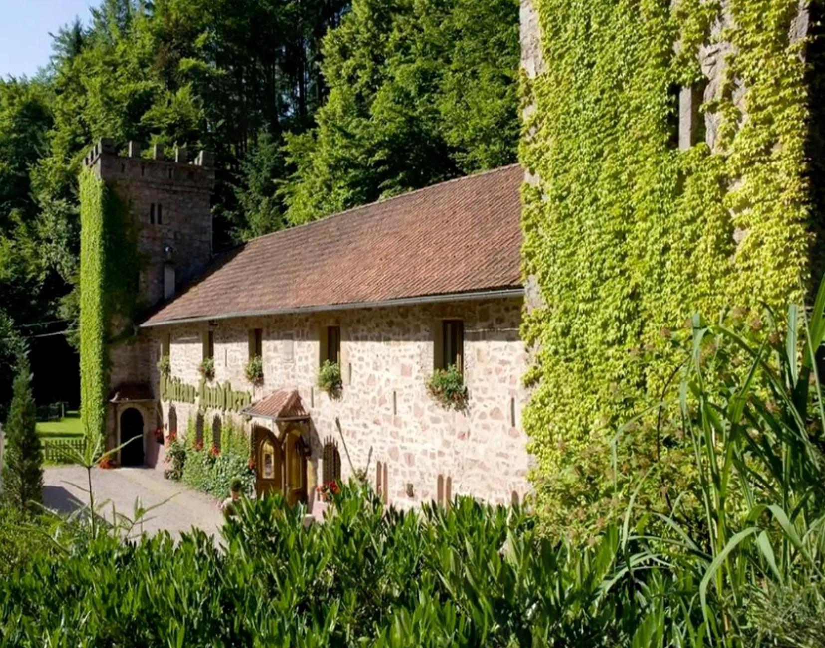 Le Chateau Du Landsberg Barr Kültér fotó