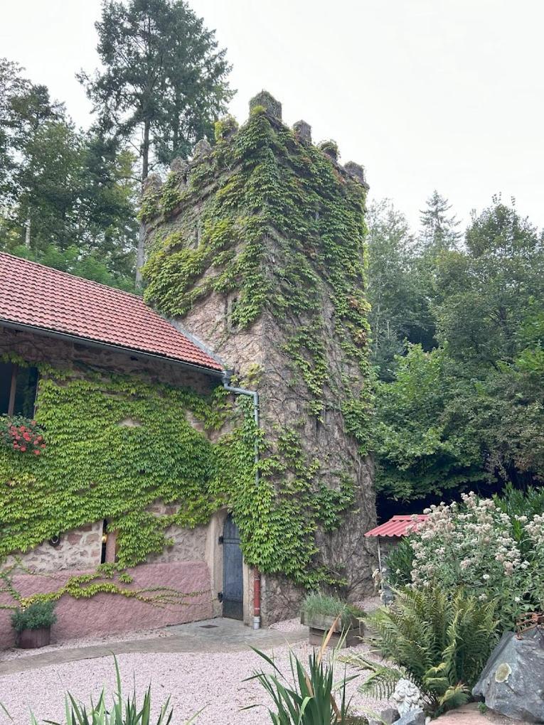 Le Chateau Du Landsberg Barr Kültér fotó